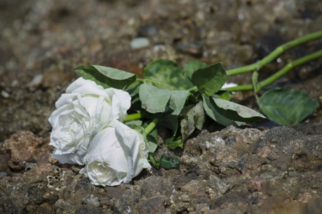 Motorcyclist Killed in Left-Turn Crash on 5600 W